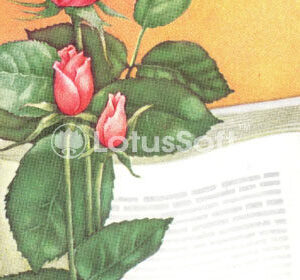 Happy Teacher’s Day, 1984 Happy Teacher’s Day, 1984