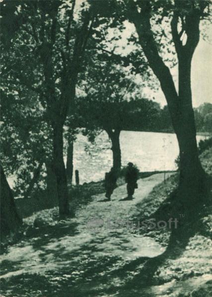 В городском парке, 1962 год