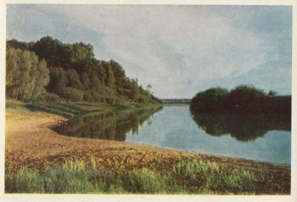 Тригорское. Вид на парк с берега реки Сироти, 1964 год
