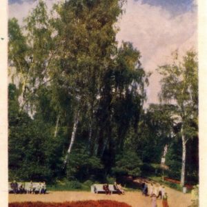 Уголок Стрыйского парка. Львов, 1960 год
