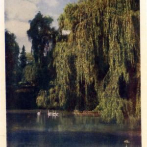 Уголок Стрыйского парка. Львов, 1960 год