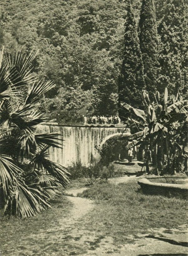 Ахали-Афони. Водопад, 1955 год