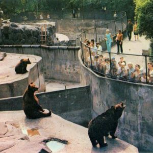 Kalingrad. In the zoo, 1975