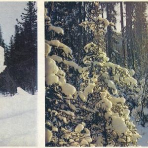 Зимовье, 1978 год