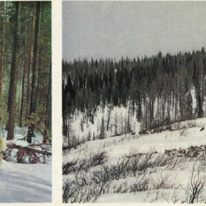 Удачная охота. Зима в горах, 1978 год