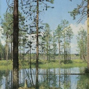 Pechora-Ilych Nature Reserve, 1982