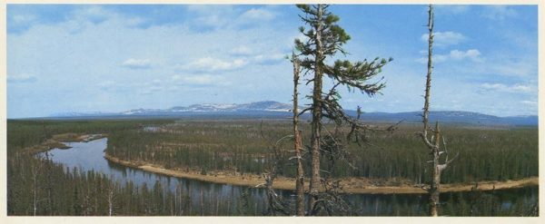 The upper reaches of the river Ilych, 1982