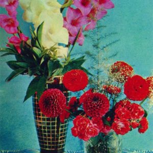Цветы, 1971 год