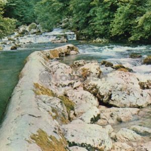 Black River, Gudauta district, 1974
