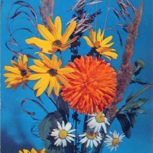Композииция из цветов, 1975 год