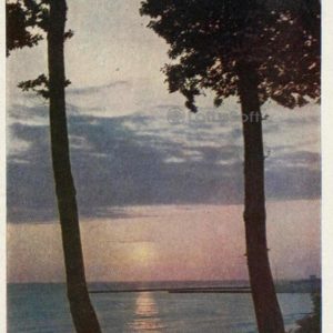 У моря. Сочи, 1958 год