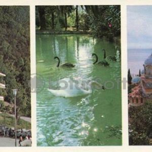Log in New Athos Cave. On the Swan Pond. New Athos Monastery, 1978
