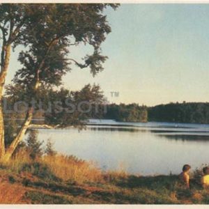 Северная морошка. На озере. Брусника, 1986 год