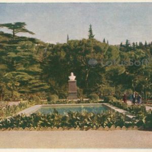 Никитский ботанический сад, партер. Крым, 1961 год