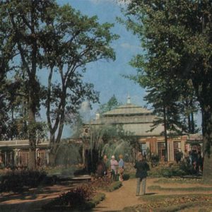 Панорама Монплезирского сада. Петродворец, 1971 год