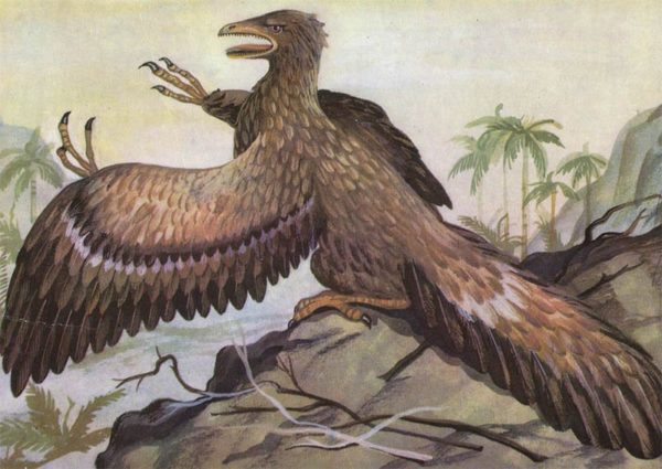 Archeopteryx, 1983