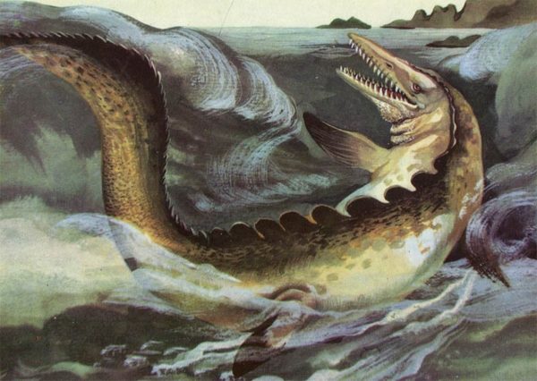 Mesosaur, 1983