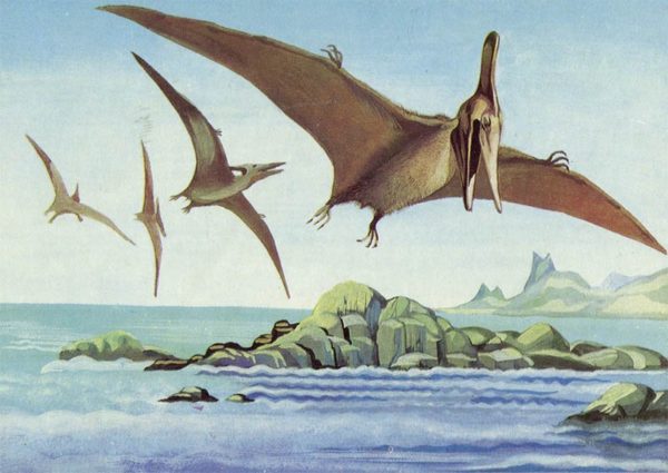 Pteranodon, 1983
