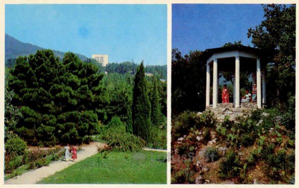 In Montedor park. Species gazebo. Nikita Botanical Garden. Crimea, 1980