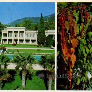 В партере сада. Вид на административный корпус. Никитский ботанический сад. Крым, 1980 год