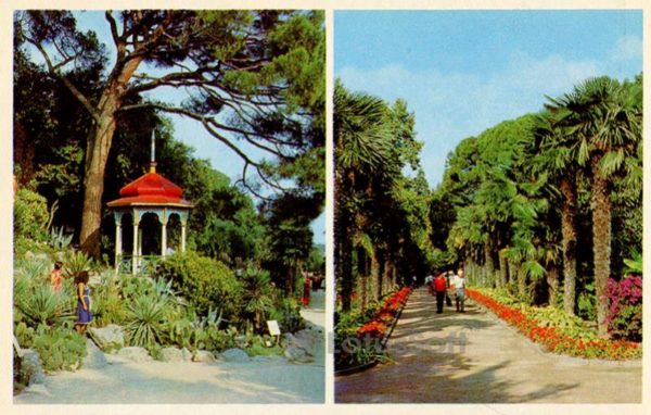 Беседка под Пинеей в Нижнем парке. Пальмовая аллея. Никитский ботанический сад. Крым, 1980 год