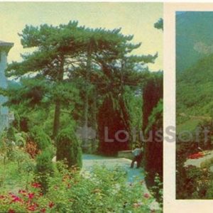 “Dolossy” sanatorium. Camping “Glade of fairy tales.” Yalta, 1980