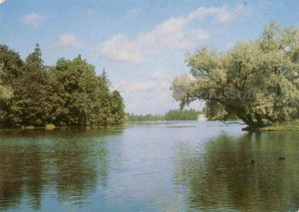 Вид на Белое озеро. Гатчина, 1984 год