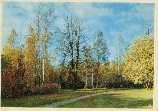 Англйская дорога в районе Белой береы. Павловск, 1972 год