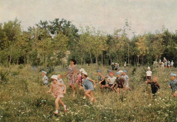 Forest park. Ryazan, 1967