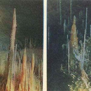Геликтиты. Ново-Афонская пещера, 1980 год
