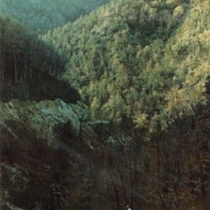 Река Белая. Майкоп, 1973 год