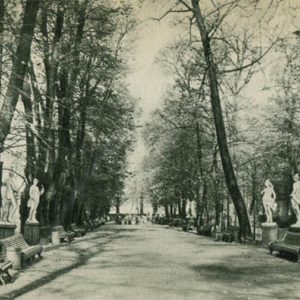 Аллея Летнего сада по направлению к Неве, 1969 год