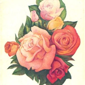 Розы, 1979 год