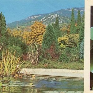 Бассейны для водных эксзотов в Верхнем парке и парке Монтедор. Никитский ботанический сад, 1986 год