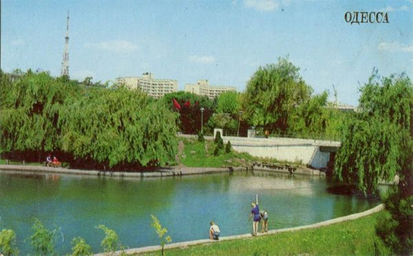 Arboretum to them. Lenin. Odessa, 1981