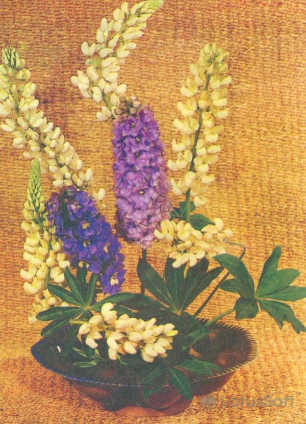 Композииция из цветов, 1981 год