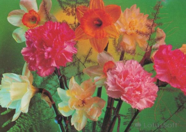 Kompoziitsiya of flowers, 1981