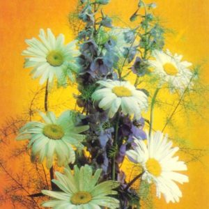 Композииция из цветов, 1983 год