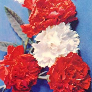 Композииция из цветов, 1985 год