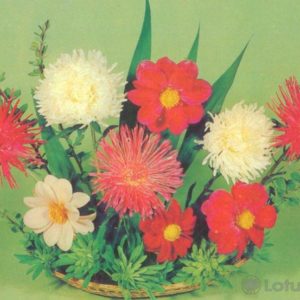 Композииция из цветов, 1983 год