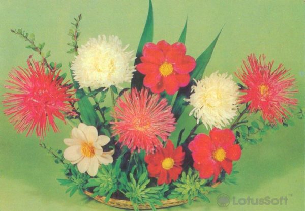 Kompoziitsiya of flowers, 1983