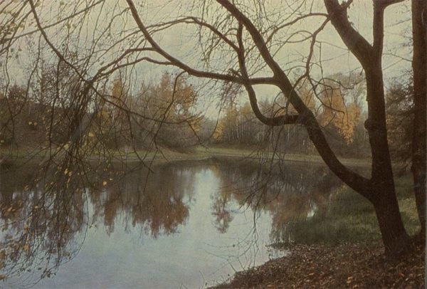“Pond Savina,” Spassky Lutovinovo, 1968