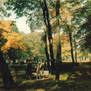 Летний сад, осень, 1971 год