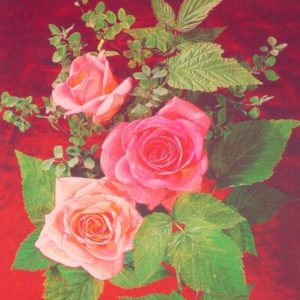 Arrangement of Roses, 1987