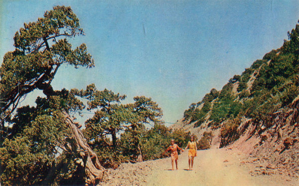 Долина Сукко. Дорога к роднику, Анапа, 1973 год