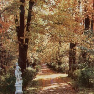 Alley in the Catherine Park, Pushkin, 1969