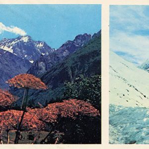 Альпийский луг, Домбай, 1983 год