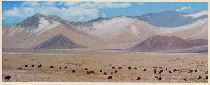 База отдыха в Рамитском ущелье, По Таджикистану, 1974 год