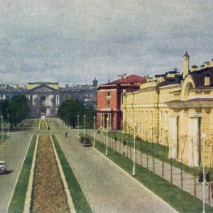 Кленовая улица, Ленинград, 1951